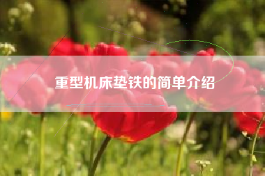 重型江苏机床垫铁的简单介绍 重型江苏机床垫铁的简单介绍