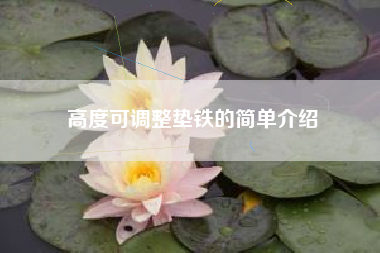 高度可江苏调整垫铁的简单介绍