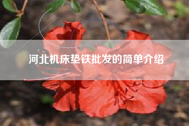 河北江苏机床垫铁批发的简单介绍 河北江苏机床垫铁批发的简单介绍