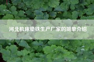 河北江苏机床垫铁生产厂家的简单介绍