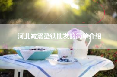 河北江苏减震垫铁批发的简单介绍 河北江苏减震垫铁批发的简单介绍