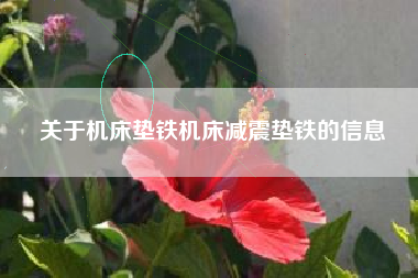 关于江苏机床垫铁机床江苏减震垫铁的信息 关于江苏机床垫铁机床江苏减震垫铁的信息