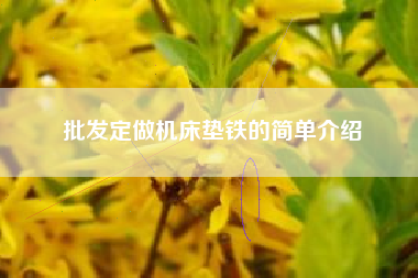 批发定做江苏机床垫铁的简单介绍 批发定做江苏机床垫铁的简单介绍