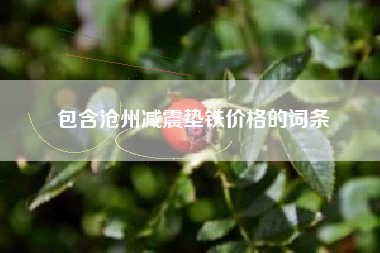 包含沧州江苏减震垫铁价格的词条